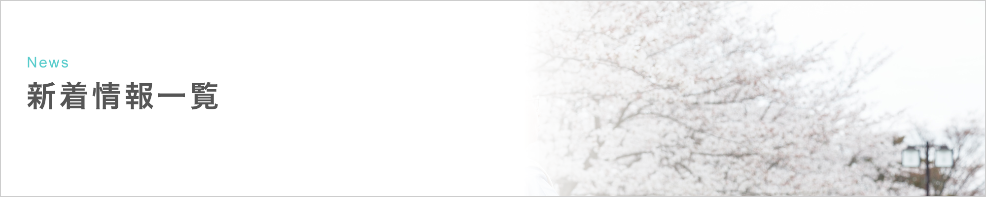 新着情報一覧